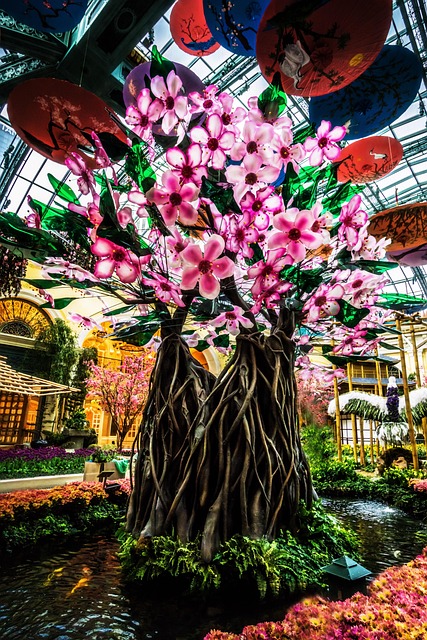 Yeni Başlayanlar için Casino Rehberi - görsel 1